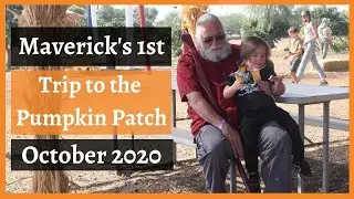 Pumpkin Patch | Halloween 2020 | Adventure Is Collins