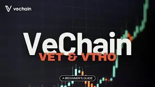 Vechain 101: Your Simple Guide to Blockchain & Supply Chain