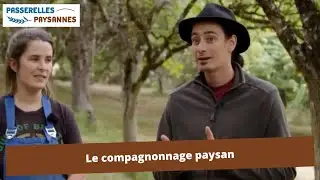 Témoignage sur le compagnonnage paysan : Bérénice au sein du GAEC La Ferme de la Rauze