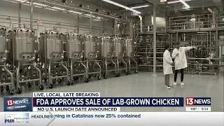 Lab-grown meat is coming soon