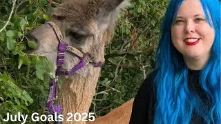 Hanging out with Llamas | July Goals 2025