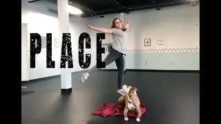 Teaching your dog PLACE/STAY- Training Tip Tuesday