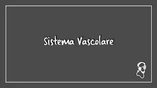 Sistema Vascolare