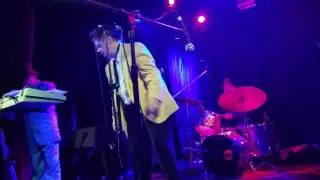 James Chance & the Contortions - 