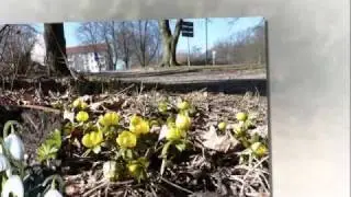 В Висмар пришла весна...