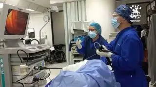Gastroenterología oncológica