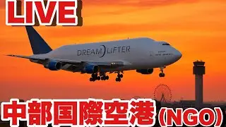 【中部国際空港 セントレア 】夕陽とドリームリフターとワタシ