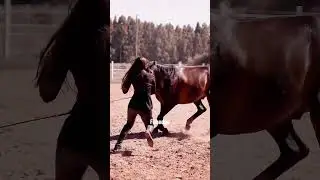 Riding Horse 🐎 #funedge #horses #horsesoftiktok #ride #powerofteamwork #1m #dailyreel #enjoylife