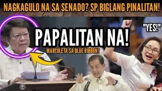 RISA HONTIVEROS, REPLACE MARCOLETA AS BLUE RIBBON COMMITTEE CHAIR? PAANO NA FLOOD CONTROL ANOMALY?!
