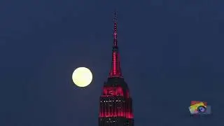 New York City under Coronavirus Lockdown