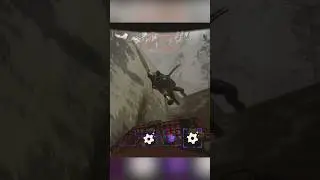 Bird Up  #gaming #lethalcompanygame