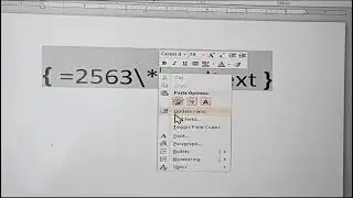 Ms word er shortcut key  