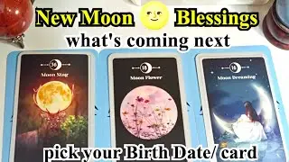 Hindi:New moon Blessings ( DoB) Pick a card What's coming for you 🌟🌟🌟 Psychic reading 