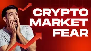 Market new Panic Situation Update in Hindi #bitcoin #btc #crypto
