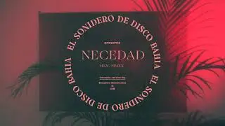 Disco Bah&iacute;a - Necedad (Karaoke Version)