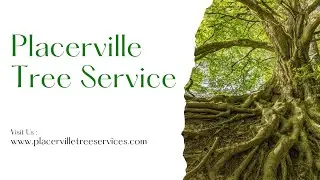 Placerville Tree Service - Tree Removal Service Placerville | Tree Trimming Service in Placerville
