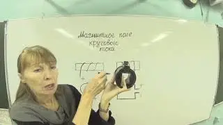 Физика Магнитное поле кругового тока