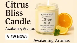 Citrus Bliss Candle &ndash; 8oz Clean-Burning Soy Candle with Zesty Citrus Scent | Willow & Wicks