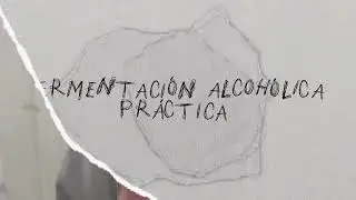 Video fermentador - destilador 