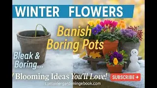 7 Plants to Get NOW for a Beautiful Winter Porch (Thanksgiving Guests!) #containergardeningtips