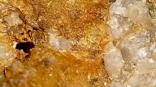 11 Kilo Rockley Rocks! Gold and Crystal in Quartz 4K