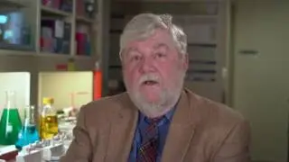 WEB EXCLUSIVE: Dr. Gene Anderson - VLCFA (C28-C38)