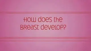 Breast Biologues Ch. 2: How Does the Breast Develop?