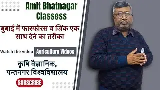 बुबाई में फास्फोरस व जिंक एक साथ देने का तरीका