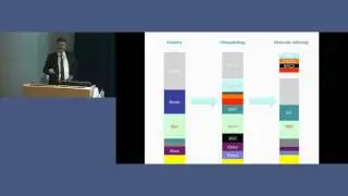 Rare and neglected cancers: a common problem - Prof David Thomas