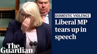 'It is traumatic': Liberal MP Karen Andrews shares her experience with domestic violence