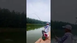 I caught the big fish🐟 Carp fishing🎣 Best fishing video #shorts #fishing