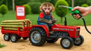 Monkey Jojo drives a wood loaded tractor , encounters trouble , and has to seek help from a friend