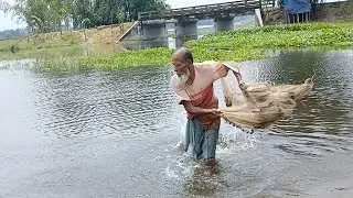 Best Cast Net Fishing Skills - Traditional Net Fishing Video - New Fishing Video 2026