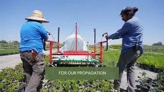 The Agrinomix EZ Cut Trimmer at Joe's Yard with Chris W.  | Belmont Nursery, Fresno, CA