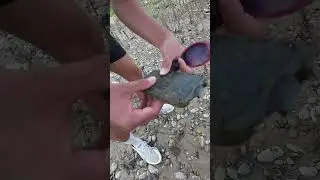 Can a Lifeproof case save this phone washed up after the floods? @divesquarr