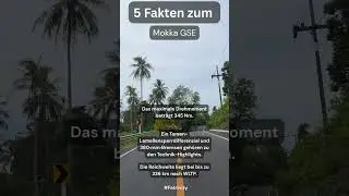 5 Fakten &uuml;ber den Opel Mokka GSE