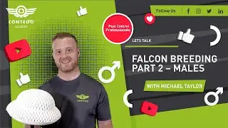 Falcon Breeding | Semen collection and the male birds