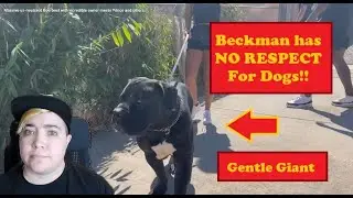 Beckman Has No Respect For Dogs - Dog Trainer Reacts