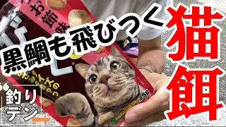 話題の猫餌で「ヘチ釣り」してみました、ラインを張りながら落とすので初めての方でも釣れます。