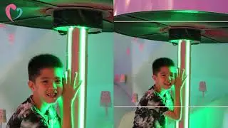 The Bubble Tea Factory