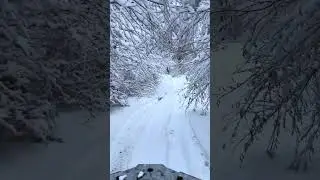 Atv prin pădure Linhai 650 promax