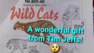 A gift from Tim Jeffs - Animal Sketches 'Wild Cats' Special edition colouring book.