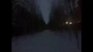 cry of sirens in the wood