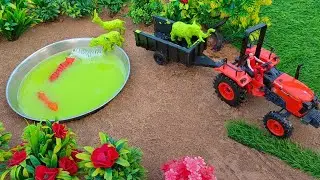 Mini Kubota Tractor Animal Washing video || animal washing || mini tractor || tractor