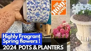 #18 HOMEDEPOT Pots & Planters 2024| Plantshopping & Planting CANDYTUFT  Flower.