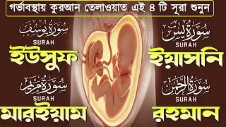 গর্ভাবস্থার জন্য কুরআন তেলাওয়াত ( শুনতে হবে ) সূরা ইউসুফ, মরিয়ম, ইয়াসিন, রহমান | SurelaQuran.