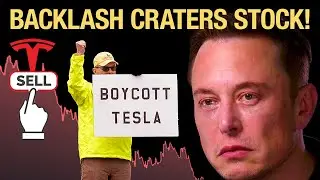 World's FURY at Elon Musk is TANKING Tesla Stock!