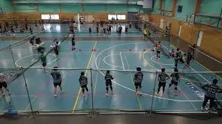 2025 NSWDL QUALI Mixed Div 2: Double Bay Dragonites vs Fairfield Falcons