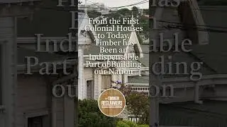 Treasuring New Zealand's Native Timber