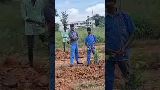 ಹಸಿರು 